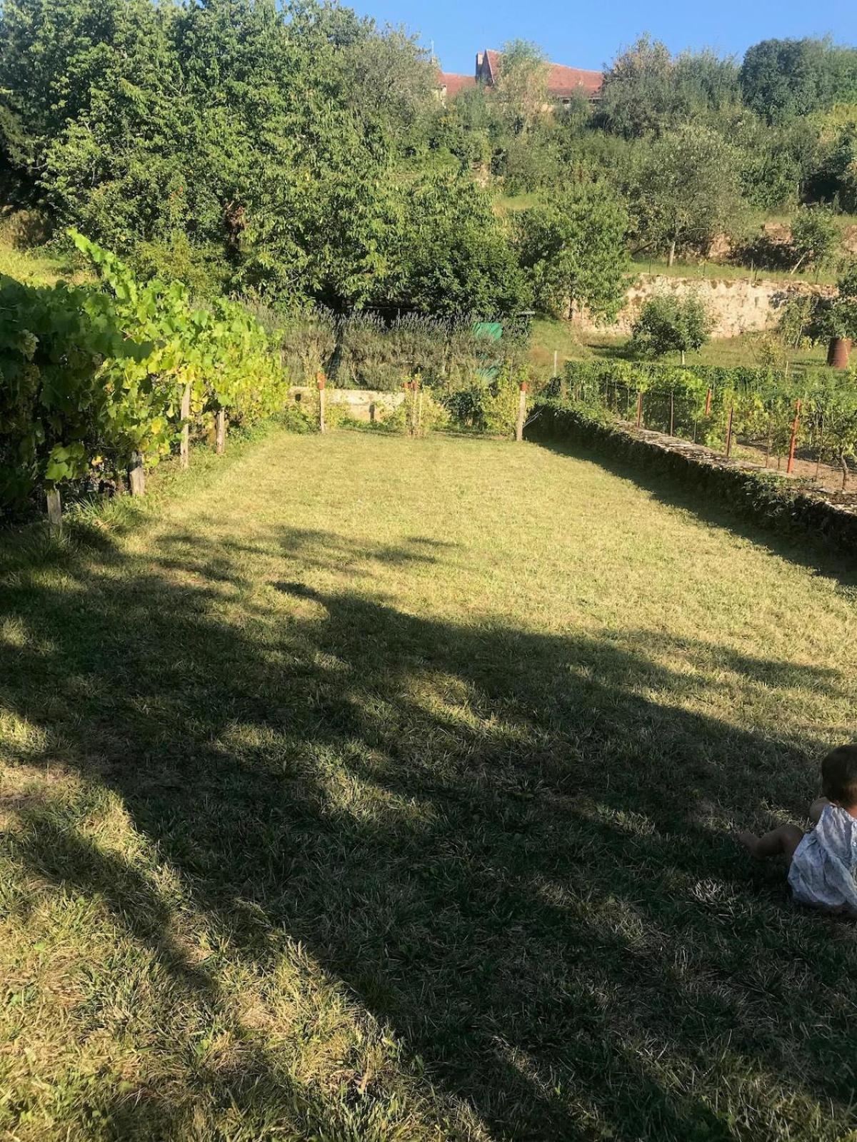 Grande Maison A Semur En Plein Coeur Historique Esterno foto